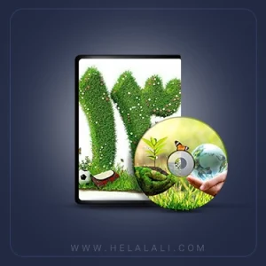 13 بدر